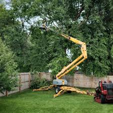 Best Emergency Tree Removal  in Sauk Centre, MN