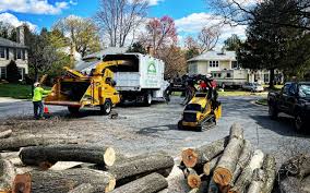 Best Firewood Processing and Delivery  in Sauk Centre, MN